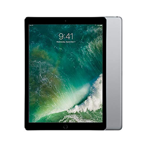 Apple iPad Pro 9.7" 1st Gen (2016) WiFi + Cellular - 256GB - Space Gray - MLQ62LL/A