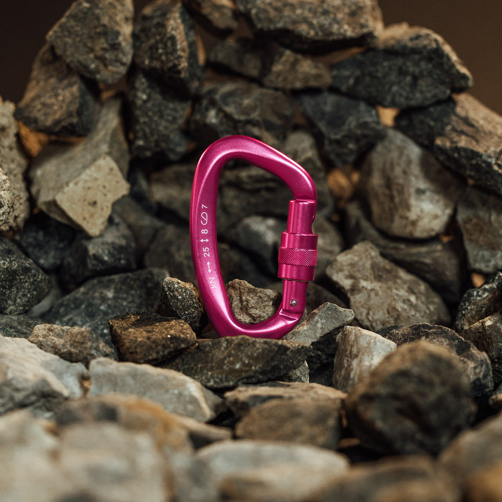 Accessory Carabiner Pink Goddess