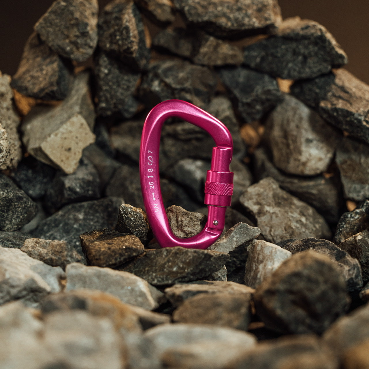 Accessory Carabiner Pink Goddess