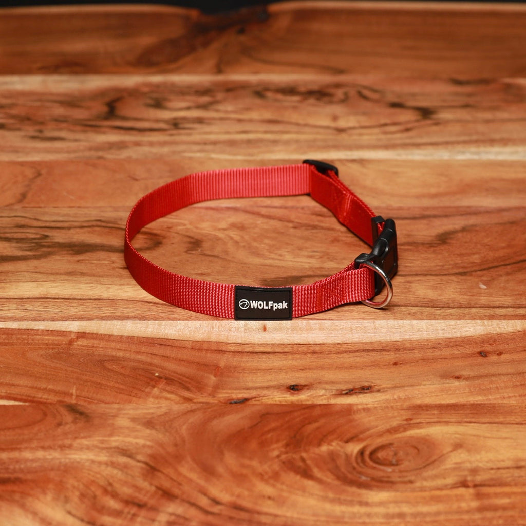 Adjustable Nylon Dog Collar Savage Red