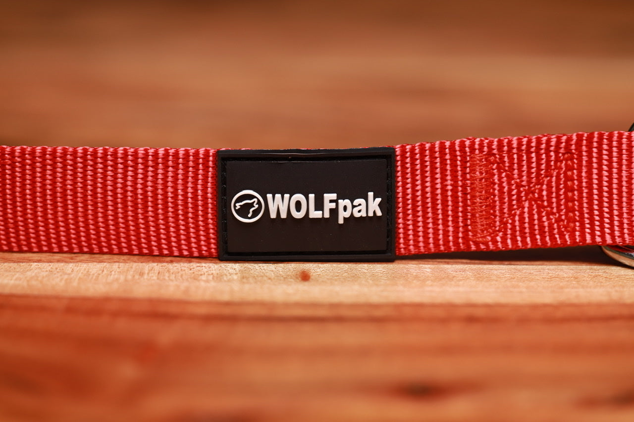 Adjustable Nylon Dog Collar Savage Red