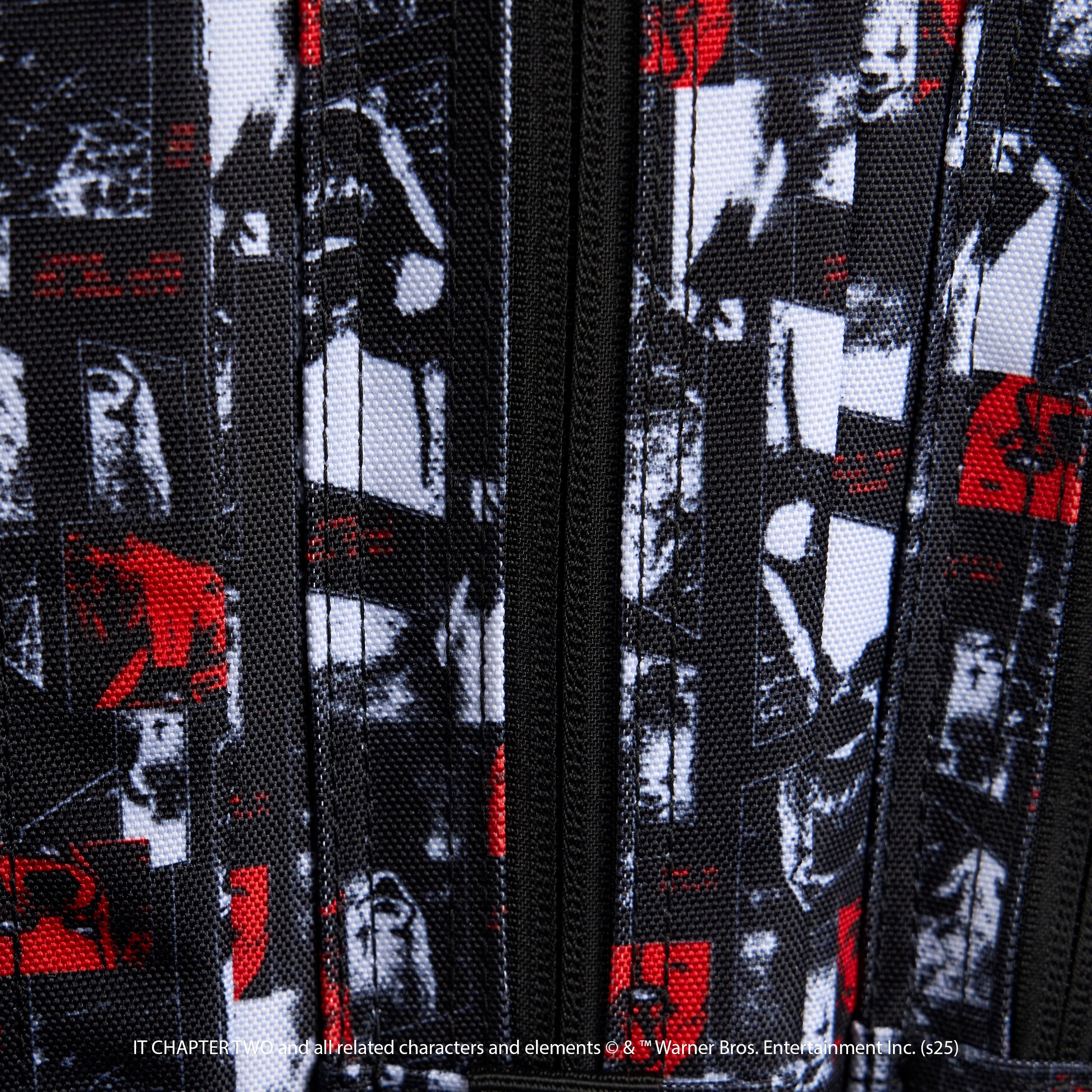 45L Backpack IT Chapter 2