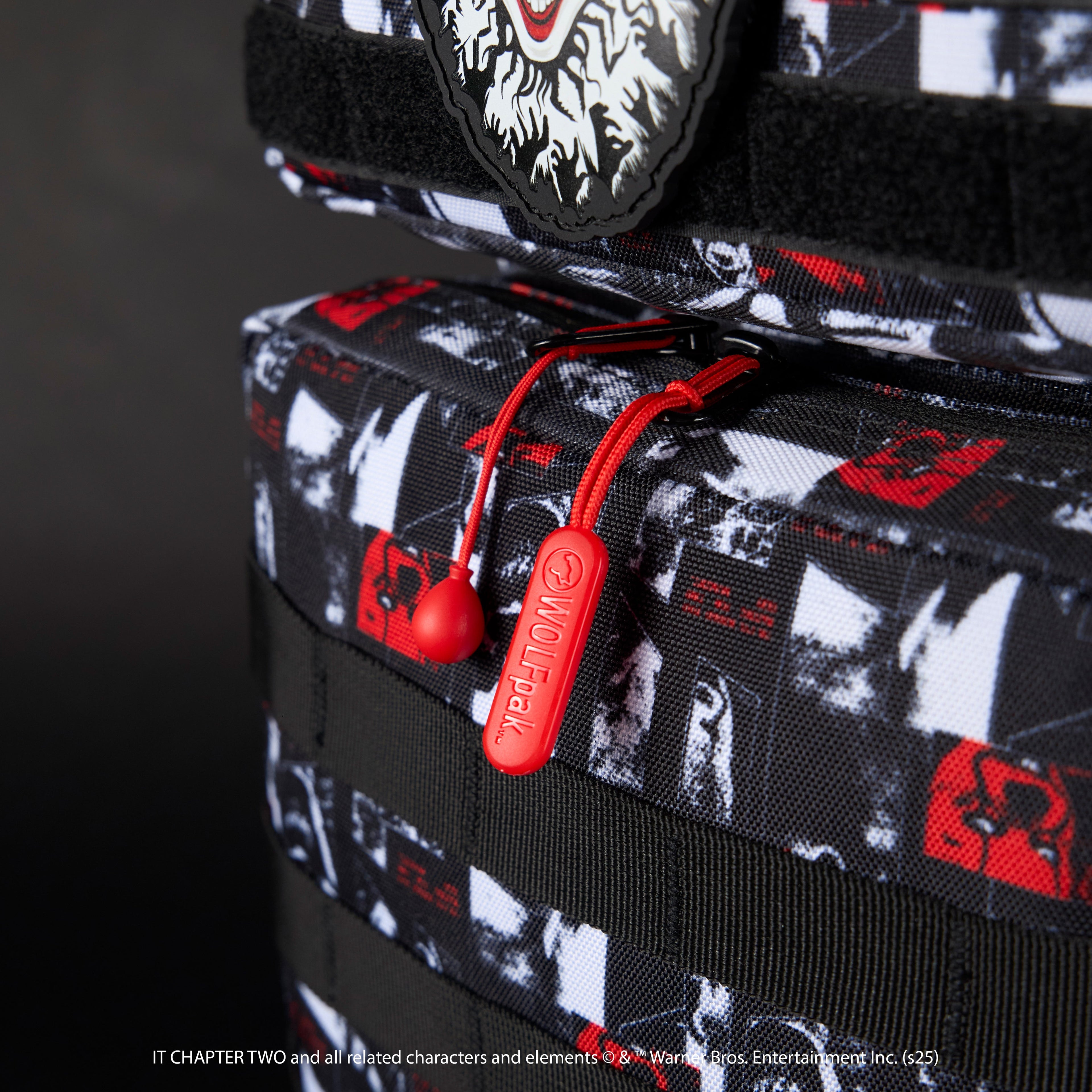 45L Backpack IT Chapter 2