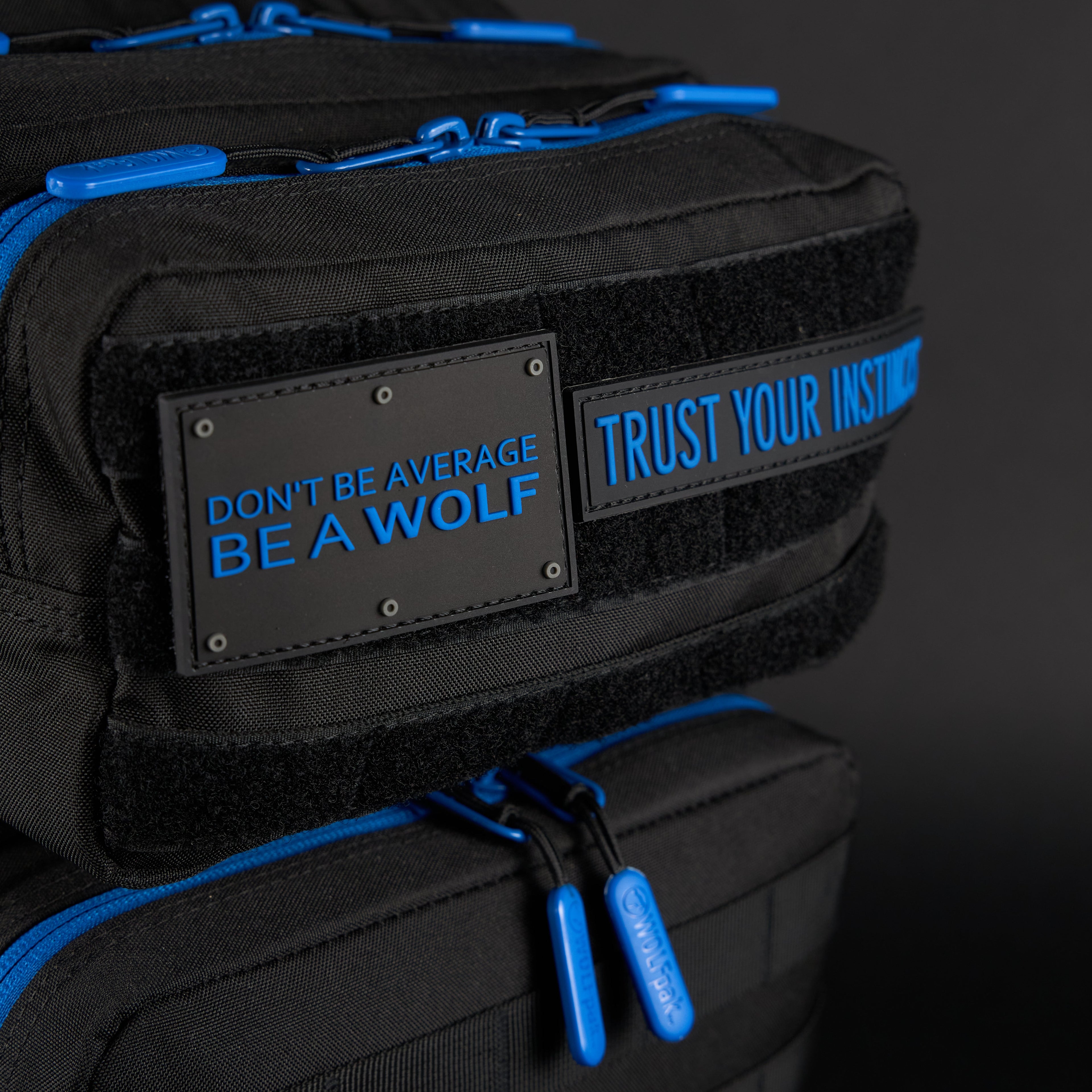 45L Backpack Blue Wolf
